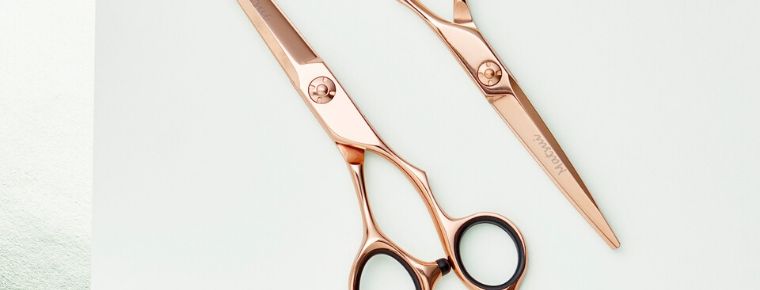 What Professional Hairdressing Scissors Can I Buy Online?